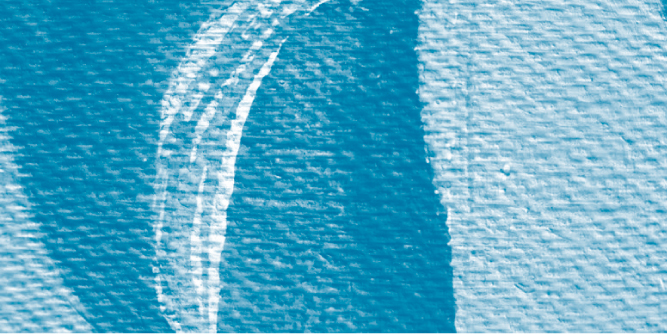 widget image